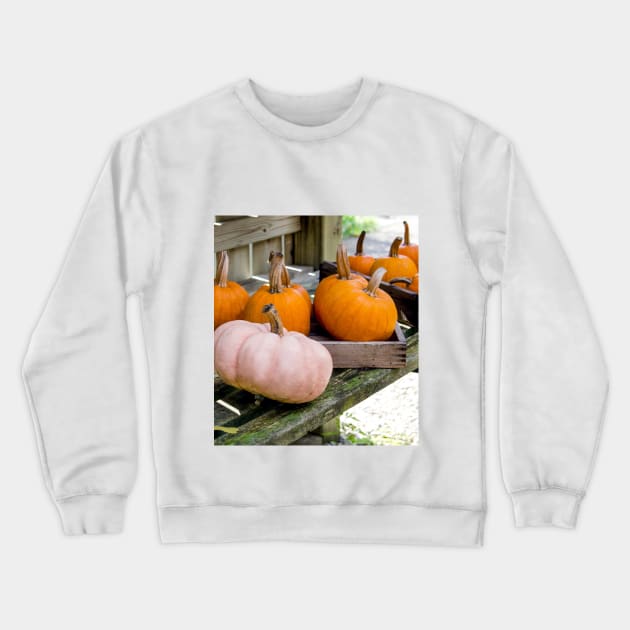 Halloween pumpkins in the potting shed Crewneck Sweatshirt by iyd39